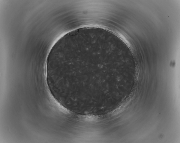 X0000090711084200708101500