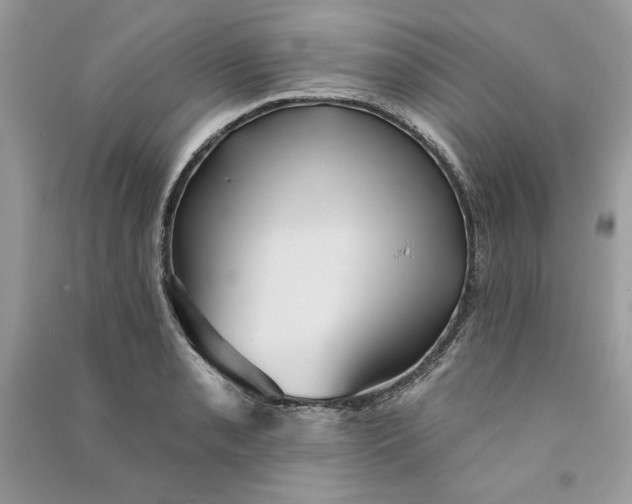 X0000090711085200708101500