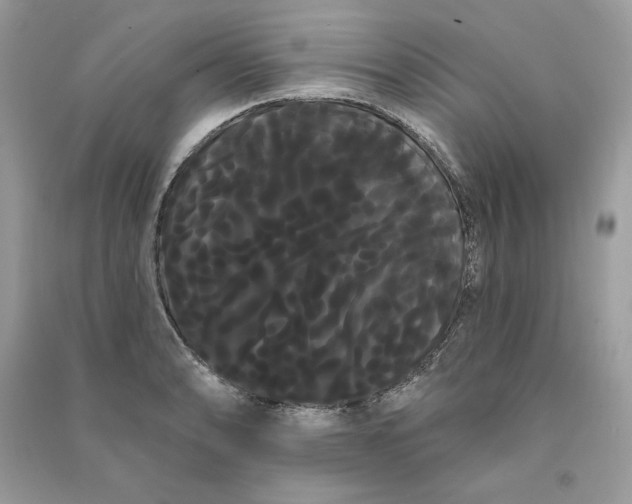 X0000090711086200708101500