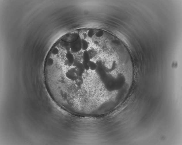 X0000090711087200708101500