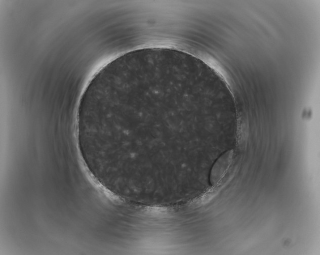 X0000090711088200708101500