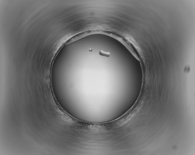 X0000090711089200708101500