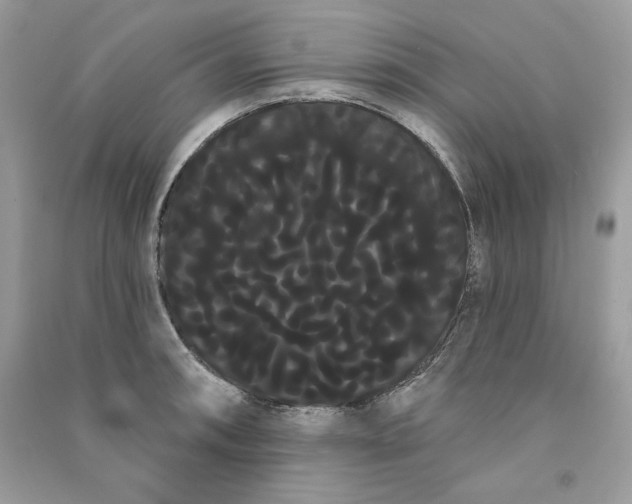 X0000090711090200708101500