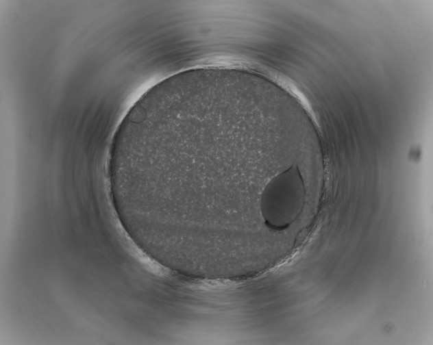 X0000090711091200708101500