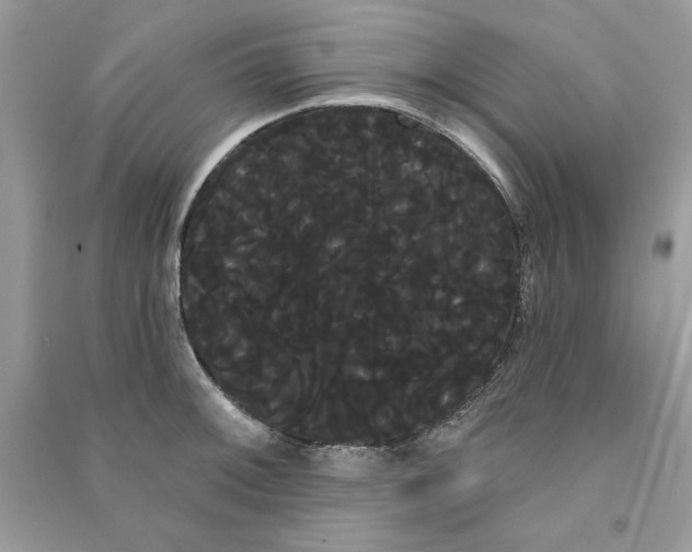 X0000090711092200708101500