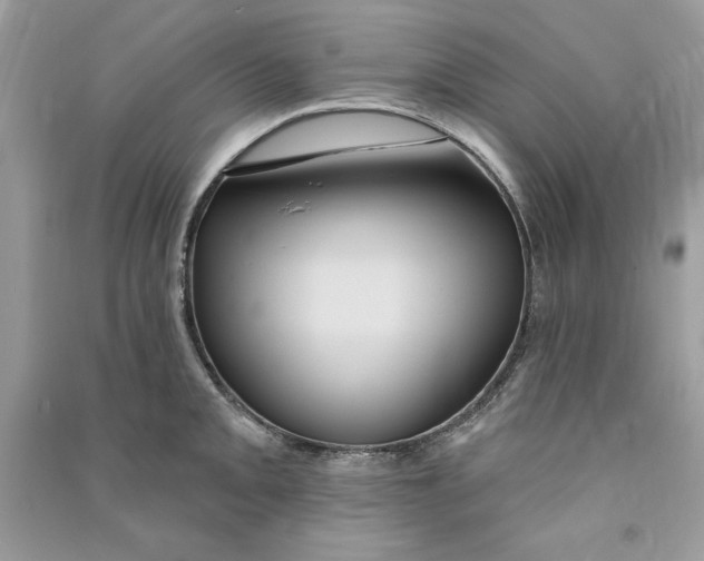 X0000090711093200708101500