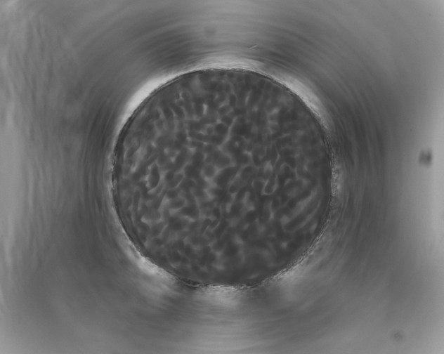 X0000090711094200708101500