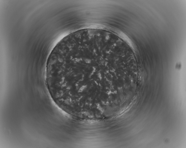 X0000090711095200708101500