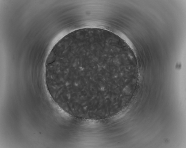 X0000090711096200708101500