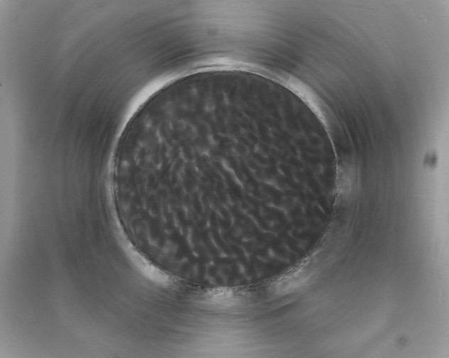 X0000090711098200708101500