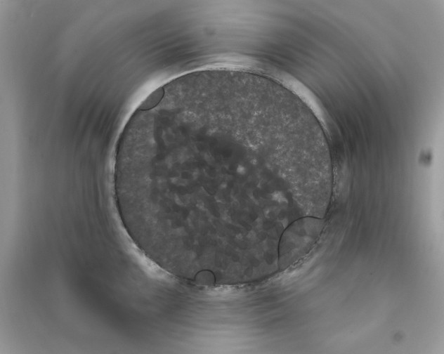 X0000090711099200708101500