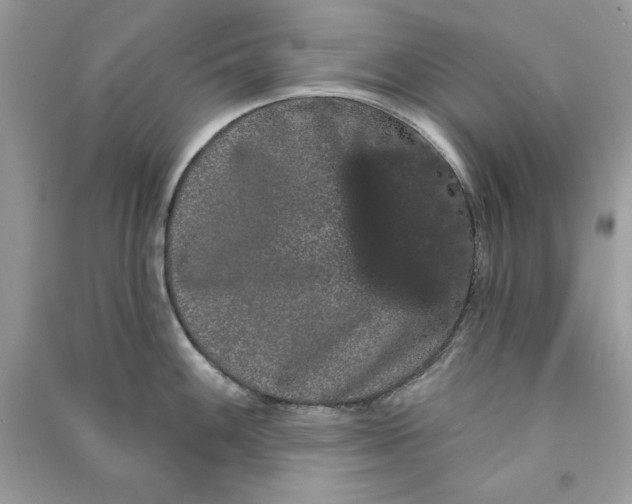 X0000090711100200708101500