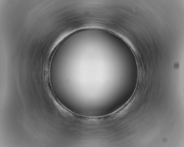 X0000090711101200708101500