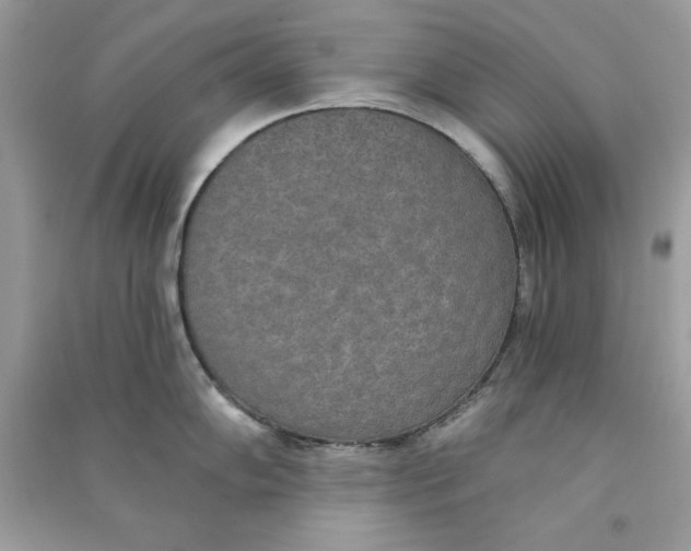 X0000090711102200708101500