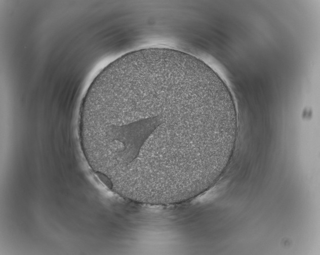 X0000090711104200708101500