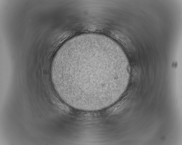 X0000090711105200708101459