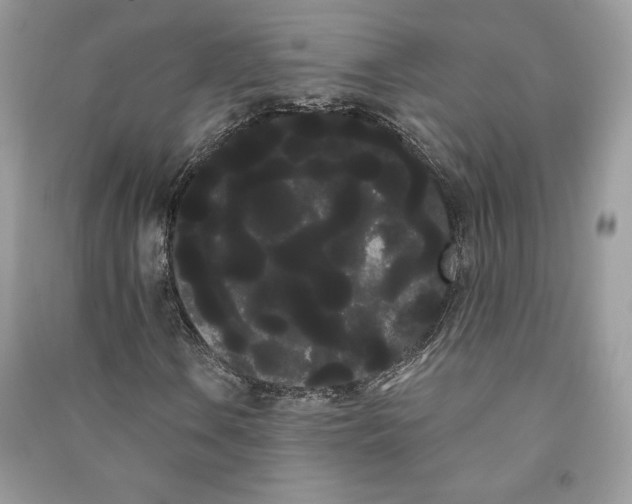 X0000090711106200708101459