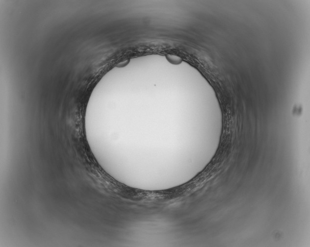 X0000090711109200708101459