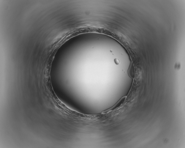 X0000090711110200708101459