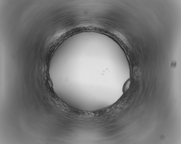 X0000090711111200708101459