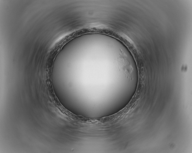 X0000090711112200708101459