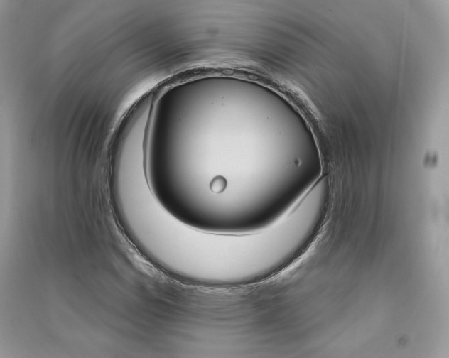 X0000090711114200708101459