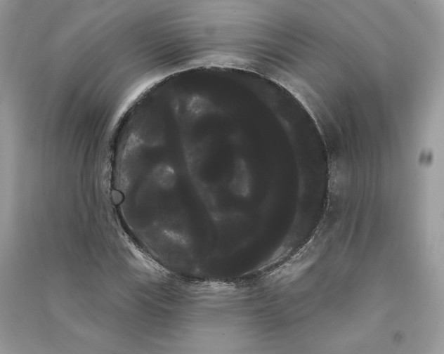 X0000090711115200708101459