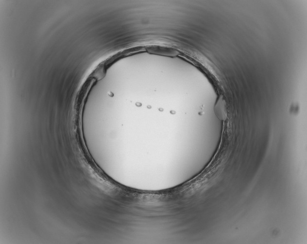 X0000090711116200708101459