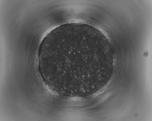 X0000090711117200708101459