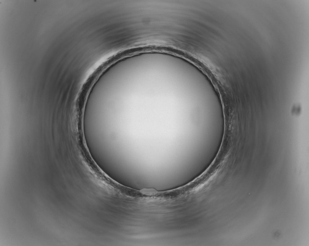 X0000090711118200708101459