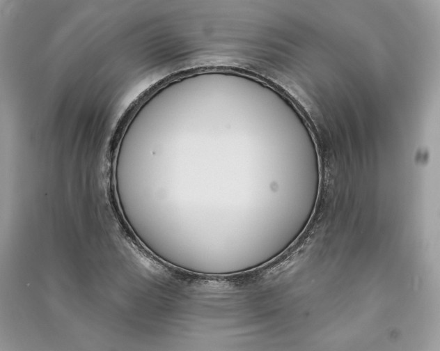 X0000090711119200708101459