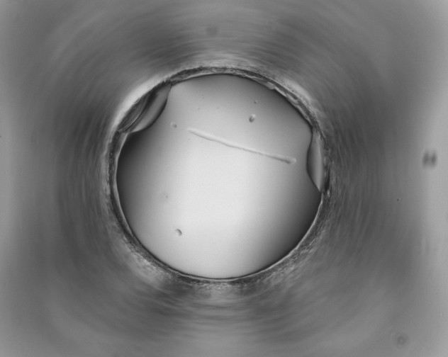 X0000090711120200708101459