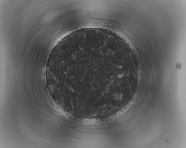 X0000090711121200708101459