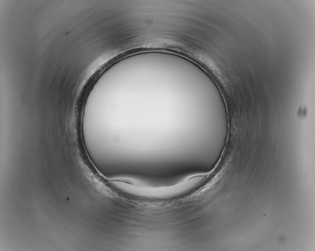 X0000090711122200708101459