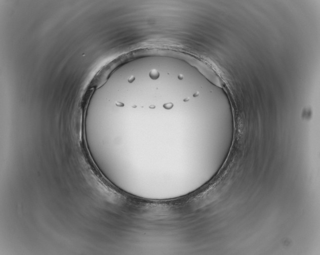 X0000090711123200708101459