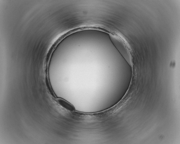 X0000090711124200708101459