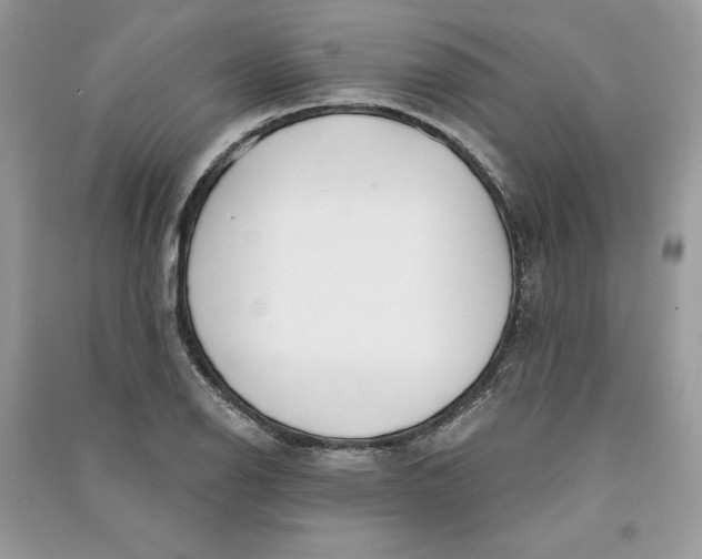 X0000090711126200708101459