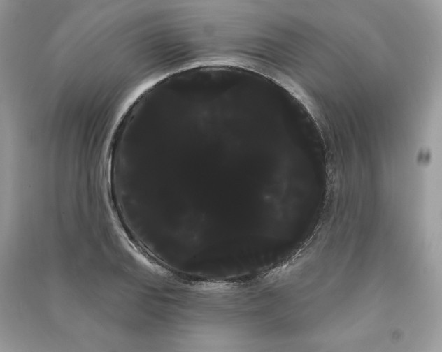 X0000090711127200708101459