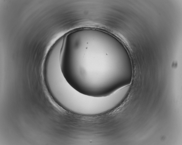 X0000090711128200708101459