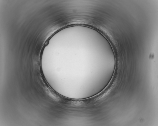 X0000090711129200708101459