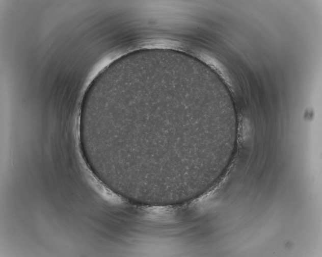 X0000090711130200708101459