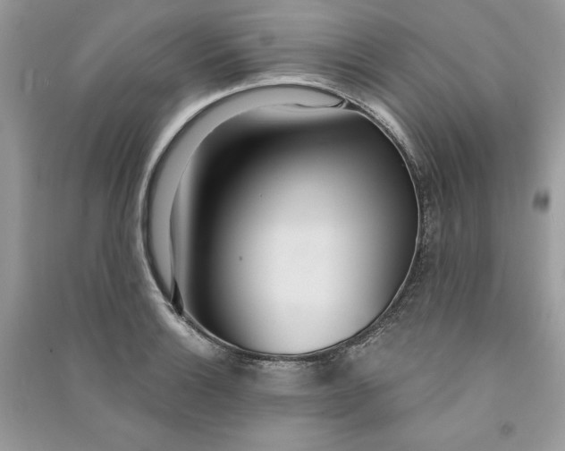 X0000090711132200708101459