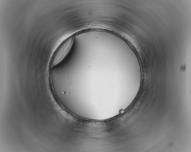 X0000090711133200708101459