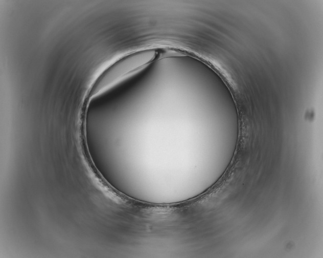 X0000090711134200708101500