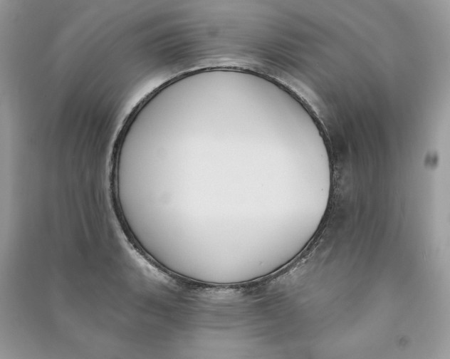 X0000090711135200708101500