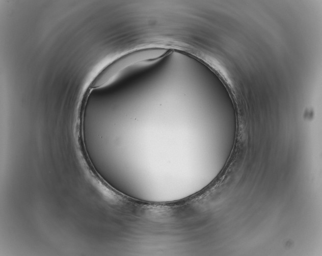 X0000090711136200708101500