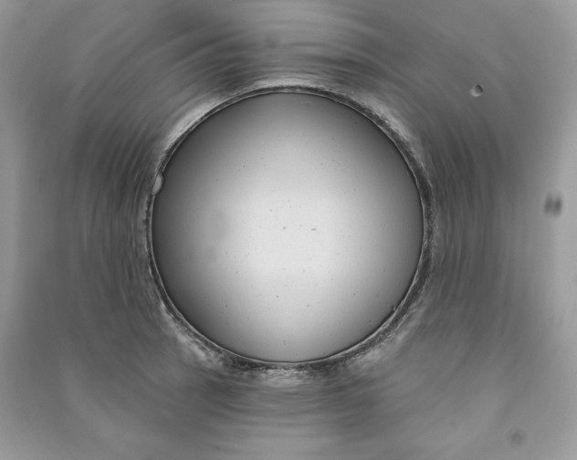 X0000090711137200708101500