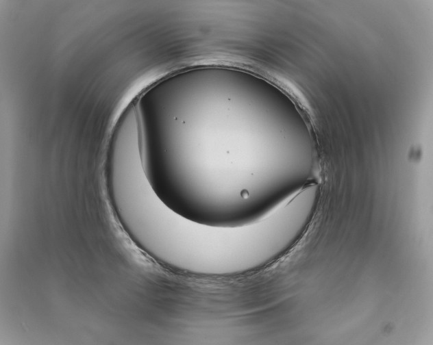 X0000090711138200708101500