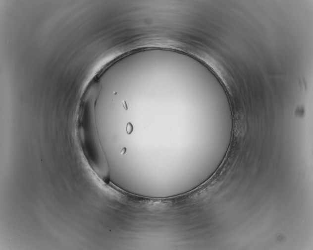 X0000090711139200708101500