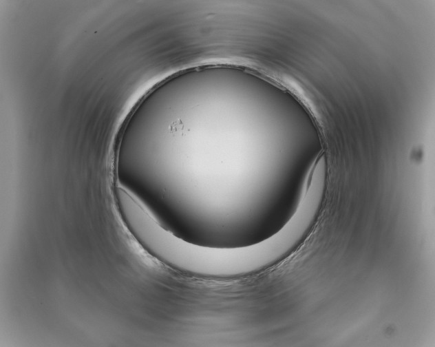 X0000090711140200708101500